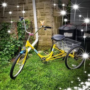 Meet your Posher, Robin